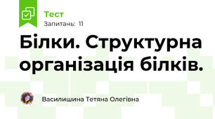 Білки. Структурна організація білків.