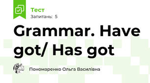 Grammar. Have got/ Has got