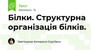 Білки. Структурна організація білків.