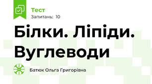  Білки. Ліпіди. Вуглеводи
