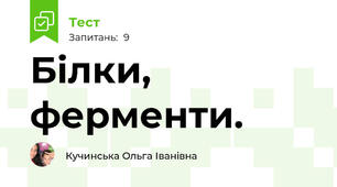 Білки, ферменти.