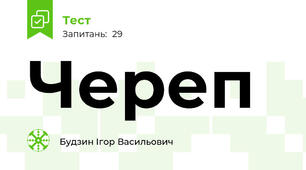 Череп