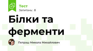 Білки та ферменти