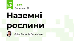 Наземні рослини