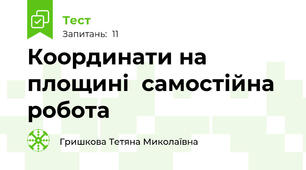 Координати на площині  самостійна робота