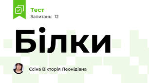 Білки