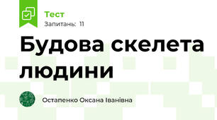  Будова скелета людини