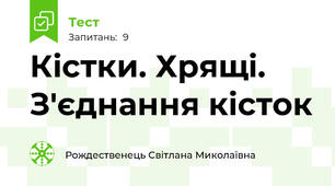   Кістки. Хрящі. З'єднання кісток