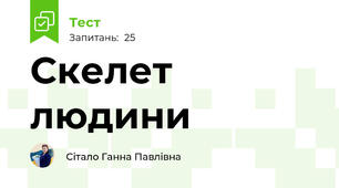 Скелет людини 