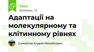 Адаптації на молекулярному та клітинному рівнях