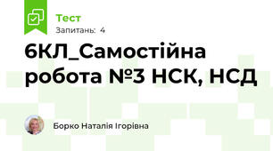 6КЛ_Самостійна робота №3 НСК, НСД