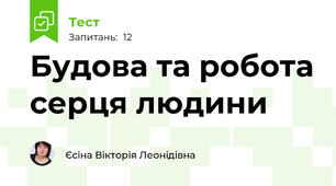Будова та робота серця людини