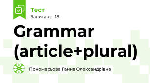 Grammar (article+plural)
