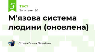 М'язова система людини (оновлена)