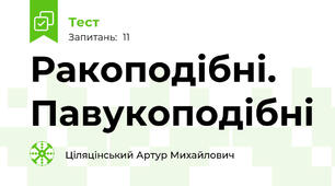Ракоподібні. Павукоподібні
