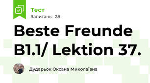 Beste Freunde B1.1/ Lektion 37.