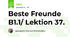 Beste Freunde B1.1/ Lektion 37.