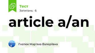 article a/an