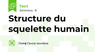 Structure du squelette humain