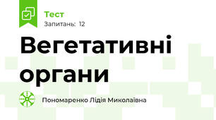 Вегетативні органи