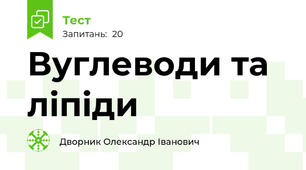 Вуглеводи та ліпіди