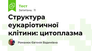 Структура еукаріотичної клітини: цитоплазма 