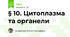  § 10. Цитоплазма та органели
