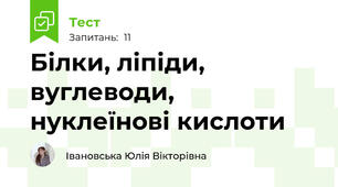 Білки, ліпіди, вуглеводи, нуклеїнові кислоти