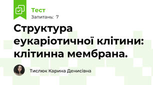 Структура еукаріотичної клітини: клітинна мембрана.