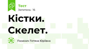 Кістки. Скелет. 
