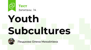 Youth Subcultures