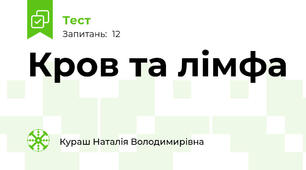 Кров та лімфа