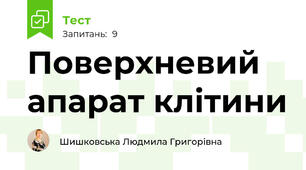 Поверхневий апарат клітини