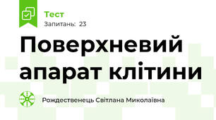  Поверхневий апарат клітини