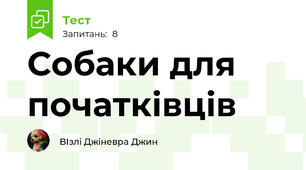 Собаки для початківців 