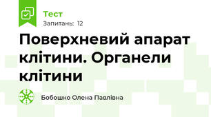 Поверхневий апарат клітини. Органели клітини