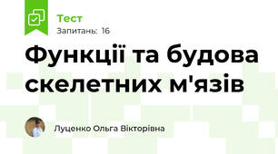 Функції та будова скелетних м'язів