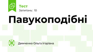 Павукоподібні 