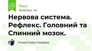 Нервова система. Рефлекс. Головний та Спинний мозок.