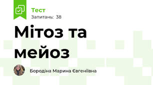 Мітоз та мейоз