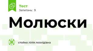 Молюски
