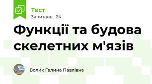 Функції та будова скелетних м'язів