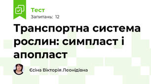 Транспортна система рослин: симпласт і апопласт