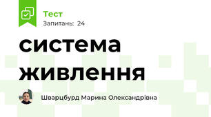 система живлення