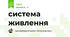 система живлення