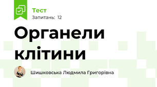Органели клітини