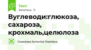 Вуглеводи:глюкоза, сахароза, крохмаль,целюлоза 