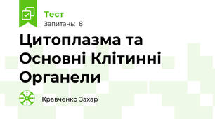 Цитоплазма та Основні Клітинні Органели