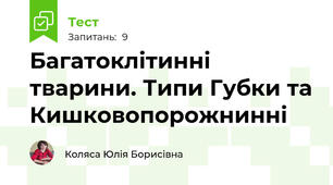 Багатоклітинні тварини. Типи Губки та Кишковопорожнинні