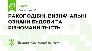 РАКОПОДІБНІ, ВИЗНАЧАЛЬНІ ОЗНАКИ БУДОВИ ТА РІЗНОМАННІТНІСТЬ